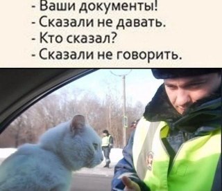 Водители могут не показывать бумажный полис ОСАГО: решение Верховного суда
