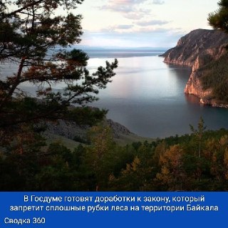 Новый закон защитит природу Байкала от сплошных вырубок леса