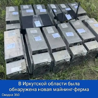 Тайная майнинг-ферма в лесу: ущерб энергосистеме превысил 2,5 млн рублей