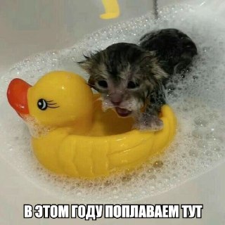В Иркутской области нет безопасных купальных водоемов перед пляжным сезоном