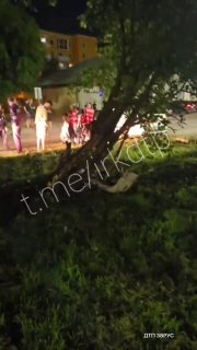 ДТП в Шелехове: иномарка врезалась в дерево, есть пострадавшие