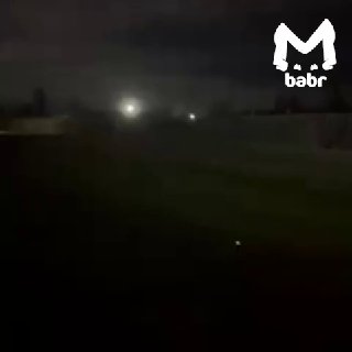 Медведь прогулялся по улицам села в Бурятии: что нужно знать
