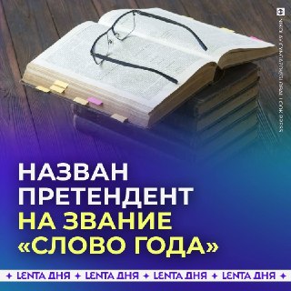 Слово «нишевый» может стать словом года: как оно завоевывает популярность