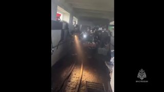Пожар на ферме в Кургане: погибли 2,5 тысячи поросят и спасены еще столько же